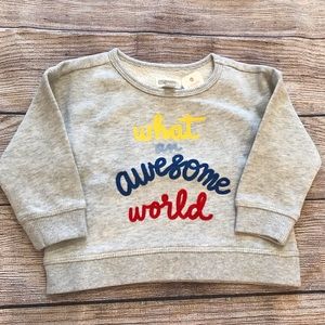 Gymboree 6-12M 3T Girls Gray Sweatshirt Light
